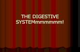 THE DIGESTIVE SYSTEMmmmmmm!. FUNCTIONS OF THE DIGESTIVE SYSTEM 1.INGESTS FOOD- takes in food 2.DIGESTS FOOD-breaks it down physically and chemically 3.ABSORBS.