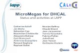 MicroMegas for DHCAL Status and activities at LAPP Catherine Adloff Jan Blaha Sébastien Cap Maximilien Chefdeville Alexandre Dalmaz Cyril Drancourt Ambroise.