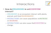 Interactions How doORGANISMS in anECOSYSTEM interact? – ORGANISMS in an ecosystem interact with plants, animals and theirENVIRONMENT. – INTERACTIONS can.