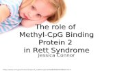 The role of Methyl-CpG Binding Protein 2 in Rett Syndrome Jessica Connor
