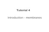 Tutorial 4 Introduction - membranes.