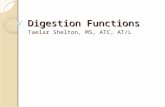 Digestion Functions Taelar Shelton, MS, ATC, AT/L.