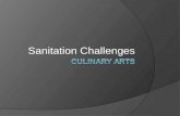 Sanitation Challenges