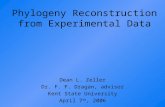 Phylogeny Reconstruction from Experimental Data Dean L. Zeller Dr. F. F. Dragan, advisor Kent State University April 7 th, 2006.