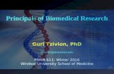 Principals of Biomedical Research Guri Tzivion, PhD PBMR 611: Winter 2016 Windsor University School of Medicine.