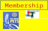 Membership. Do Clubs Need New Members? CLUB PRESIDENTS GOVERNORS Members “EXTREMELY IMPORTANT” 92% SPONSORED NEW MEMBER 89% 10% “EXTREMELY IMPORTANT”