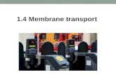 1.4 Membrane transport. A membrane is a barrier. Almost all membranes are semi-permeable. Why?