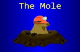 The Mole. Atoms & molecules are extremely small The number of individual particles in even a small sample of something is very large Therefore, counting.