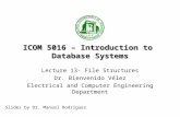 ICOM 5016 – Introduction to Database Systems Lecture 13- File Structures Dr. Bienvenido Vélez Electrical and Computer Engineering Department Slides by.