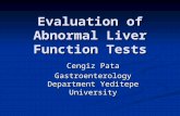 Evaluation of Abnormal Liver Function Tests Cengiz Pata Gastroenterology Department Yeditepe University.
