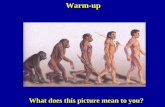 What does this picture mean to you? Warm-up. So just how does evolution work? Living things have evolved throughout history.
