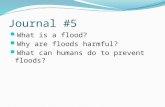 Journal #5 What is a flood? Why are floods harmful? What can humans do to prevent floods?