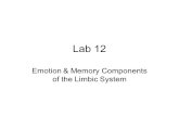 Emotion & Memory Components of the Limbic System