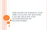 THE FLOW OF ENERGY AND THE CYCLING OF MATTER CAN BE TRACED AND INTERPRETED IN ECOSYSTMES.