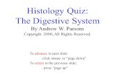 Histology Quiz: The Digestive System By Andrew W