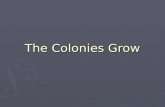 The Colonies Grow. Navigation Acts ► England views colonies as economic resource ► Mercantilism: Colonial raw materials used to make goods sold back to.