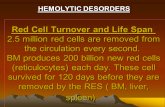 Red Cell Turnover and Life Span 2.5 million red cells are removed from the circulation every second. BM produces 200 billion new red cells (reticulocytes)
