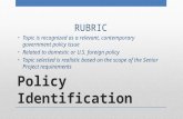 Policy Identification RUBRIC Topic is recognized as a relevant, contemporary government policy issue Related to domestic or U.S. foreign policy Topic selected.