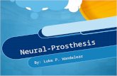 Neural-Prosthesis By: Luke P. Wandelear. What type? Specifically pertaining to the Hippocampus Plays major role in the brain’s memory.