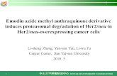 中山大学肿瘤防治中心 SUN YAT-SEN UNIVERSITY CANCER CENTER 1 Emodin azide methyl anthraquinone derivative induces proteasomal degradation of Her2/neu in Her2/neu-overexpressing.