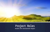 Project Roles Second Life Construction Project. Role Descriptions  The following role descriptions are outlines – they are not complete descriptions.
