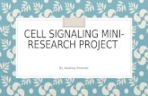 Cell Signaling Mini-Research Project