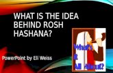 WHAT IS THE IDEA BEHIND ROSH HASHANA? PowerPoint by Eli Weiss.