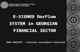 E-SIGNED DocFlow SYSTEM in GEORGIAN FINANCIAL SECTOR NANA ENUKIDZE – E-Business Development Consultant.