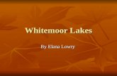 Whitemoor Lakes By Elana Lowry. Dormitories When we arrived there we got put into dormitories. The girls were in Buttermere and the boys were in Derwent.