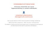 HYPERSENSITIVITY REACTIONS Innocous materials can cause hypersensitivity in certain individuals unwanted inflammation damaged cells and tissues Non-proper.