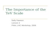 The Importance of the TeV Scale Sally Dawson Lecture 3 FNAL LHC Workshop, 2006.