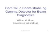 W. Morse GamCal1 GamCal: a Beam-strahlung Gamma Detector for Beam Diagnostics William M. Morse Brookhaven National Lab.