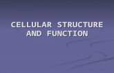 CELLULAR STRUCTURE AND FUNCTION. BIG IDEA Cells are the structural and functional units of all living organisms. Cells are the structural and functional.