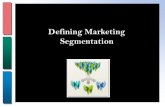 Market Segmentation. What is a market segment? Why is it important?