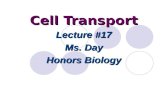 Cell Transport Lecture #17 Ms. Day Honors Biology.