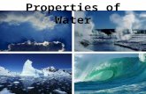 Properties of Water. Polar molecule Cohesion and adhesion High specific heat Density  greatest at 4 o C Universal solvent of life.