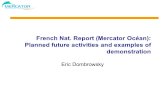 French Nat. Report (Mercator Ocan): Planned future activities and examples of demonstration Eric Dombrowsky.