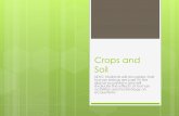 Crops and Soil SEV5: Students will recognize that human beings are part of the global ecosystem and will evaluate the effects of human activities and technology.