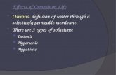 Effects of Osmosis on Life  Osmosis- diffusion of water through a selectively permeable membrane.  There are 3 types of solutions: Isotonic Hypertonic.