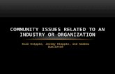 Evan Klipple, Jeremy Klipple, and Andrew Ouellette COMMUNITY ISSUES RELATED TO AN INDUSTRY OR ORGANIZATION.