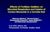 Effects of Fertilizer Addition on Microbial Respiration and Uptake of Carbon Monoxide in a Cerrado Soil Marirosa Molina 1, Richard Zepp 1, Alessandra Kozovits.
