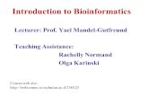 Introduction to Bioinformatics Lecturer: Prof. Yael Mandel-Gutfreund Teaching Assistance: Rachelly Normand Olga Karinski Course web site :