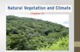 Chapter 21. 2 details to learn: What is natural vegetation? What are deciduous trees?