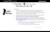 BirdSleuth K-12 Educators These teaching slides were created by the BirdSleuth K-12 team. We welcome you to share these slides with your students! You.