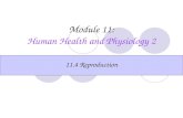 Module 11: Human Health and Physiology 2
