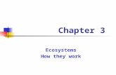 Ecosystems How they work Chapter 3. Biosphere II Purpose: recreate conditions of Earth (Biosphere I) * to understand our world better * space travel 5.