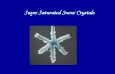 Super Saturated Snow Crystals. The Whole Enchilada!!!