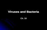 Viruses and Bacteria Ch. 18. Viruses Parasite that requires a host cell in order to live They take the host cell hostage and use the cell to create the.
