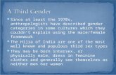 Since at least the 1970s, anthropologists have described gender categories in some cultures which they couldnt explain using the male/female framework.