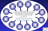 A systems approach to pathways and networks involved in lipid metabolism in macrophage activation the LIPID MAPS Consortium University Of California San.